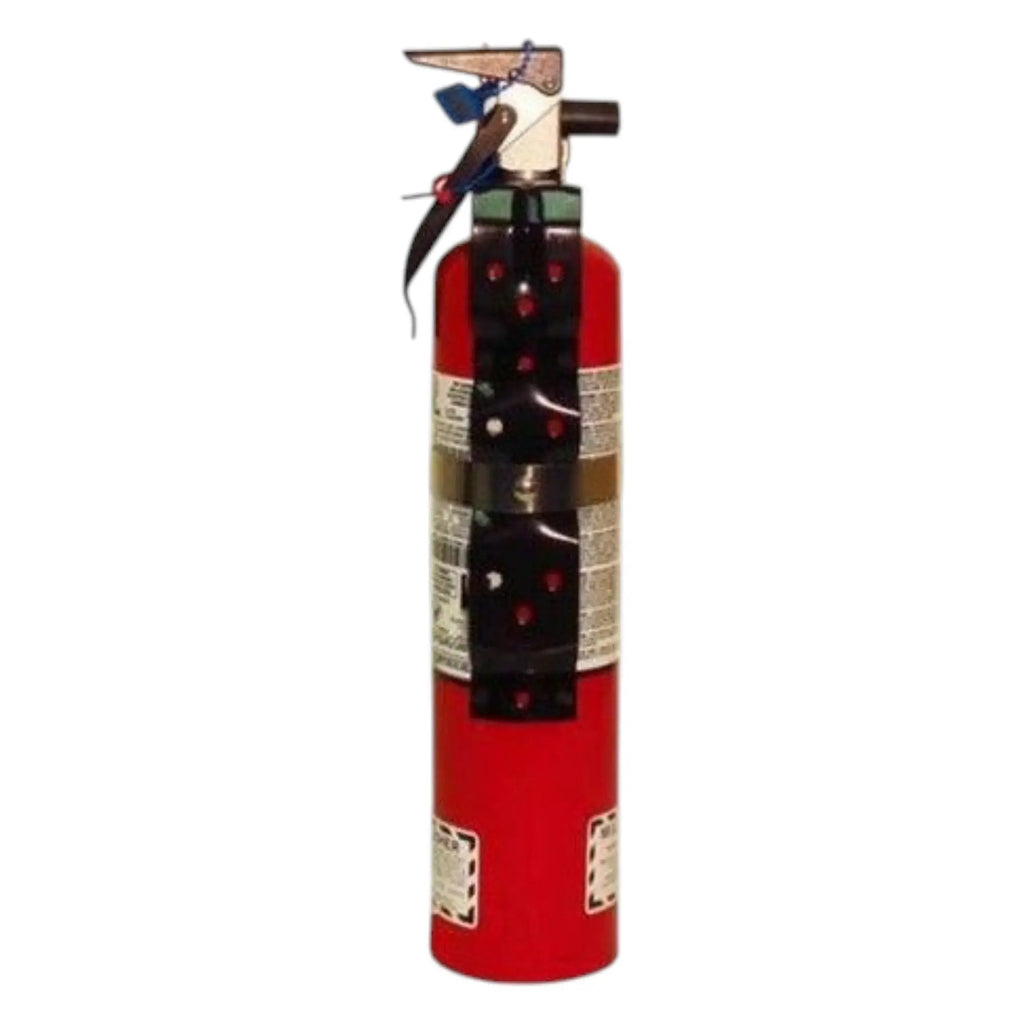2.5 Lb ABC 1A10BC Chemical Fire Extinguisher with Valve